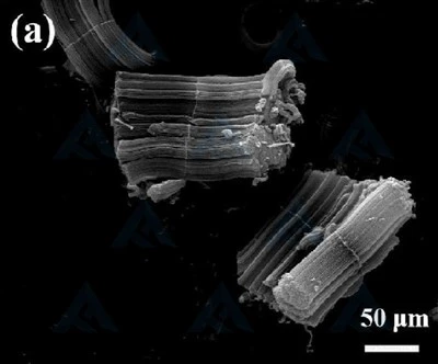Mảng ống nano carbon nhiều vách
