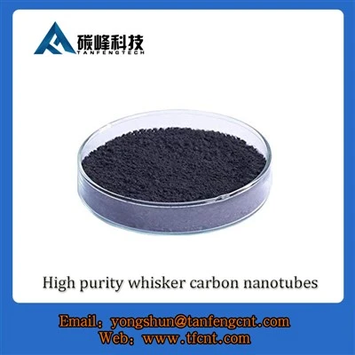 Purchasing Carbon Nanotubes: Applications of High-Purity CNTs Purchasing Carbon Nanotubes: Applications of High-Purity CNTs